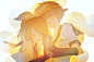 10th
id=66474947