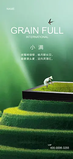 小满海报-设计素材-shejisc.cn