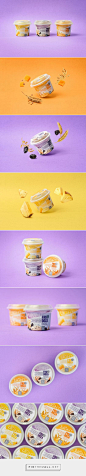 FRUDOZA Light Ice Cream - Packaging of the World - Creative Package Design Gallery - http://www.packagingoftheworld.com/2017/08/frudoza-light-ice-cream.html