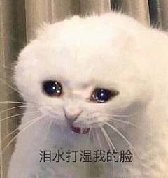 阳yyy采集到表情包