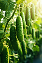 AI数字艺术大棚蔬菜农业农产品摄影图-众图网