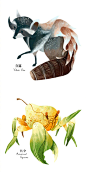 二十四节气动物插画#... - @字体灵感的微博 - 微博