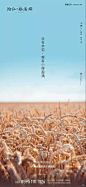 小满