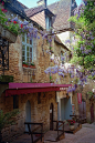紫藤巷，法国和紫藤