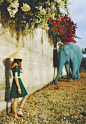 Blue elephant and Temple Dungarpur, Rajasthan, India.  Photo by Tim Walker, 1999