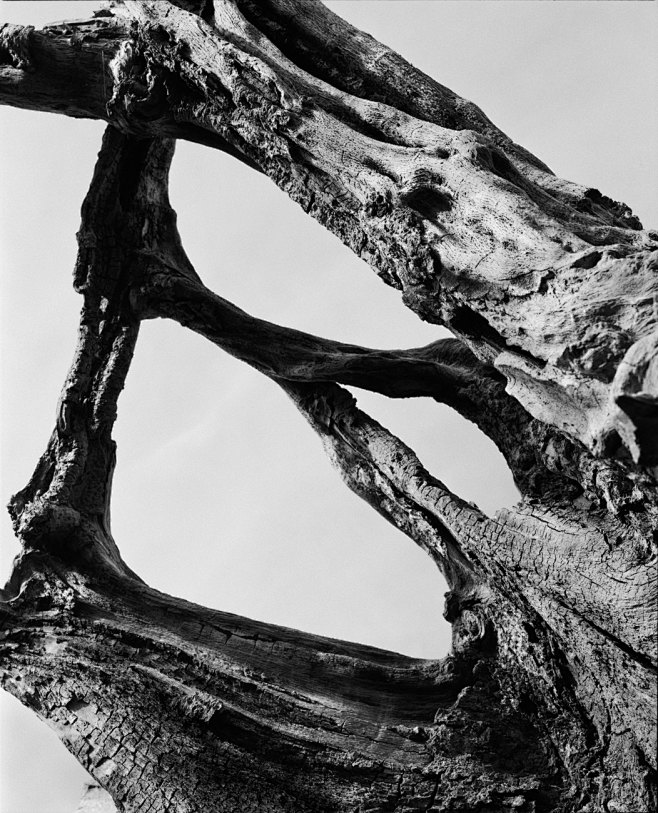 6x7 black and white ...