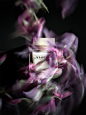 (1) Pinterest