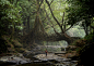Meghalaya: The Wettest Place on Earth : Photographer