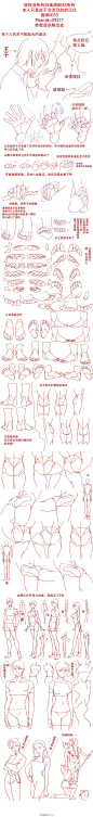 脚趾头和男性的臀部 ＆ 个人的臀部（臀关节）画法