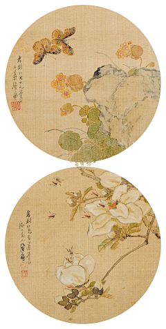 椰花糖采集到参考