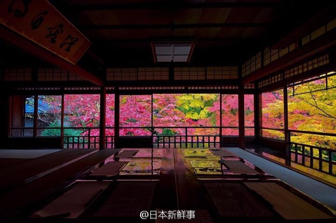 岛国京都琉璃光院