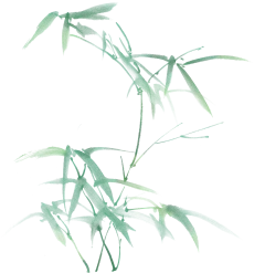 绿色植物插画唯美中国风手绘竹子水墨画彩色清新图片