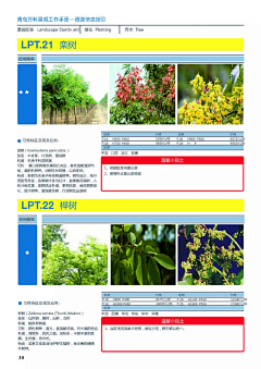 Luna-CC采集到A—植物万能公式