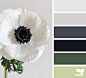 Design Seeds : Design Seeds color palettes ... posted daily for all who love color.