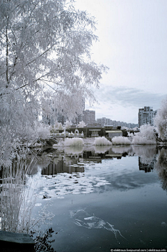 安之若素◆采集到会有雪精灵的地方