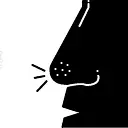 nose