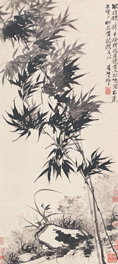 九号是白昼两栖生物采集到绘画.画古