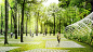 DROR事务所为伊斯坦布尔Parkorman公园设计能让游客跃上树顶观光的方案,© DROR
