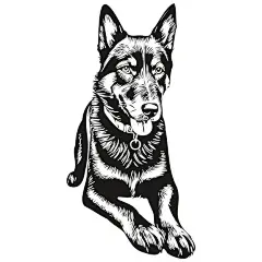 德国牧羊犬德牧黑贝插画矢量图设计素材