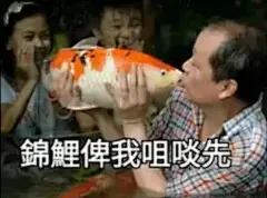 锦鲤今日用咗未？粤语表情包真的可以为所欲为
