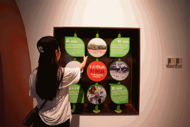 ​福田红树林生态公园科普展馆---儿童的...