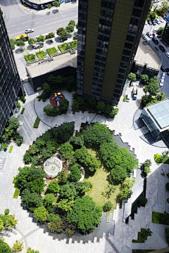 且愿采集到公园