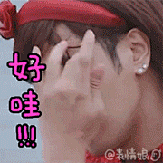 原谅我这么迟才奉上这套蛇蝎美猪朱碧石表情包好爱她！！！@羅志祥 @东方卫视极限挑战