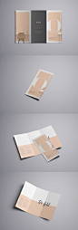 纸品设计。 ​​​​