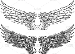 翅膀纹身