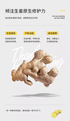英子丶采集到网页——详情页