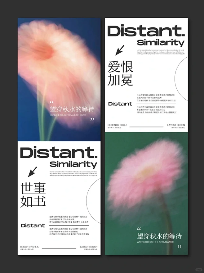 版式设计|高级简约图文排版|视觉艺术 - 小红书-花瓣网
