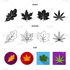 素食,有机食品,品牌名称,九月,十月,清新,景观设计,环境,植物,标签