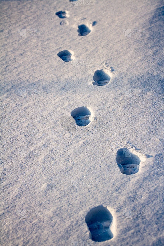 雪地上的足迹