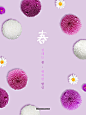 白紫色球形花朵 小雏菊 浅紫色背景 春季促销活动海报_平面设计_海报