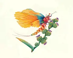 舒展《昆虫记—蜉蝣》-舒展SZ_插画,蜉蝣_涂鸦王国插画