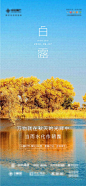 Tags: 海报房地产白露寒露