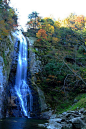 #秋日美景#天堂寨秋景(分享自@酷旅图),美图来自