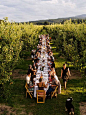 vineyard heaven: