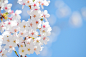 img-e8db09b6378907d531061f294faf70e2