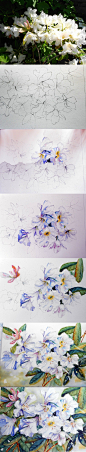 大师的过程，来自英国艺术家Yvonne Harry水彩花卉过程九组