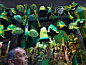 巴西世界杯引发旅游消费热潮，国旗色纪念品充斥市场。