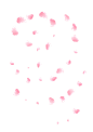 樱花瓣