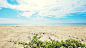 ID-949031-蔚蓝的海洋海滩阳光高清大图