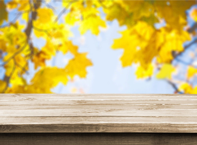 秋季树叶木板背景图片素材