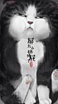 白茶插画 我的吾皇#猫#
