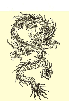 丁哥威晒2采集到杂