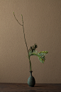 2012年4月29日（日）
この緑の清らかさは独特。森の威厳も感じます。
花＝栂（ツガ）、山椒（サンショウ）
器＝青銅王子形水瓶（六朝時代）