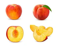 桃子水蜜桃插画元素矢量图设计素材