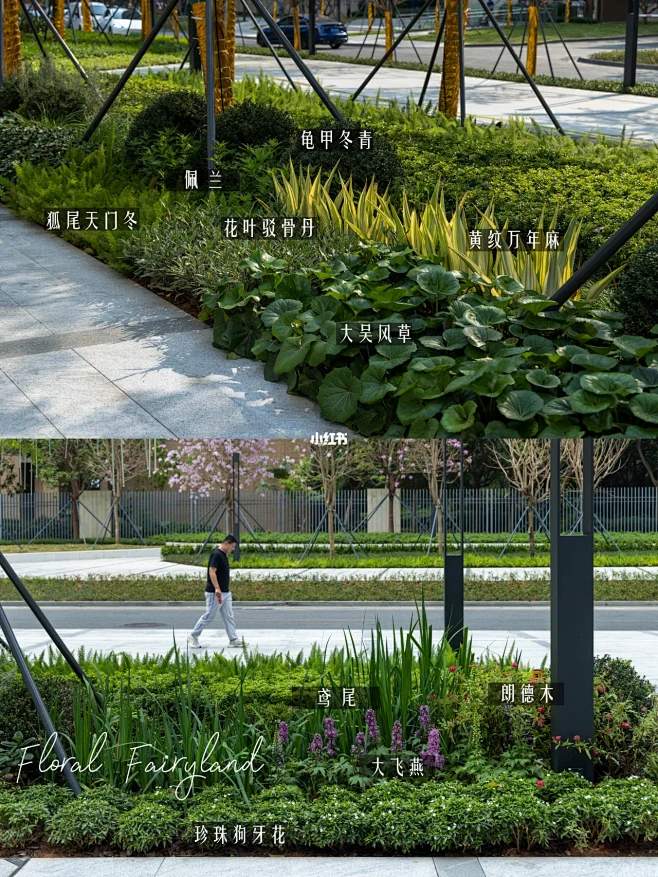 干货篇|长效花境植物配置|选对品种很重要-花瓣网