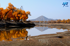 JasonT采集到风景